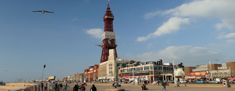 Main Image 1